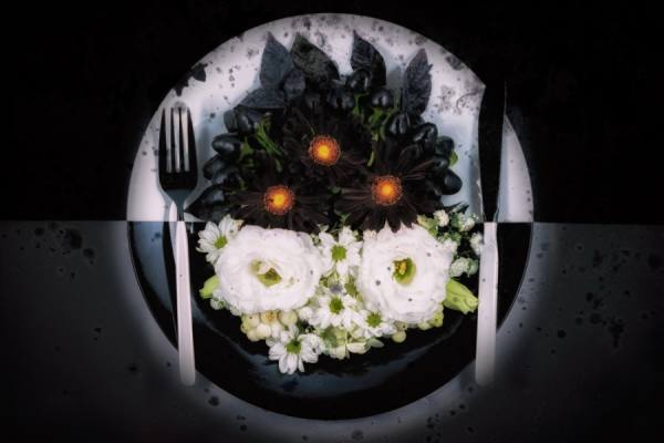 Photograph Kumiko Nakata Carmilla on One Eyeland